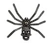 Kreepsville Dia Spider Skull Brooch Clear 2 Kreepsville Dia Spider Skull Brooch Clear